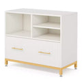 Lantine 35.4-inch Lateral File Cabinet